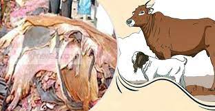 কুরবানীর জন্তুর চামড়া প্রসঙ্গে￼