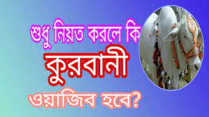 কুরবানী কি ওয়াজিব?