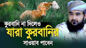 কুরবানীর সাওয়াব