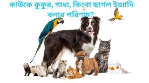 কাউকে- কুকুর, গাধা, কিংবা, ছাগল ইত্যাদি বলার পরিণাম