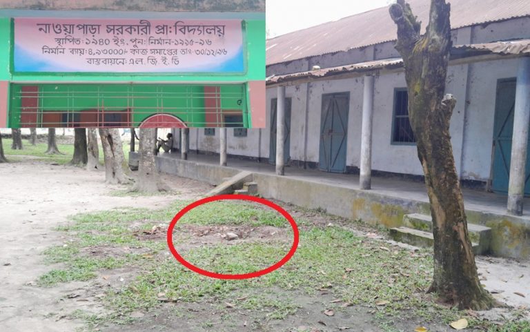 পঞ্চগড়ের তেঁতুলিয়ায় স্কুল মাঠের গাছ বিক্রি করলেন
