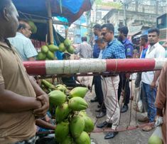 বগুড়ায় চড়া দামে ডাব বিক্রি করার অভিযোগে চার ব্যবসায়ীকে জরিমানা