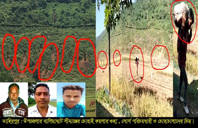 বালিয়াঘাট সীমান্তে মৃত্যুর রেশ না কাটতেই কয়লা পাচাঁর