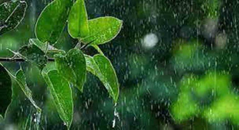নবী করীম (সা:)বলছেন বৃষ্টির সময় বান্দার মোনাজাত কবুল করা হয়
