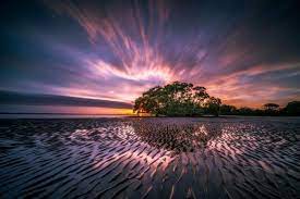 দুনিয়া একটি পরীক্ষাগার