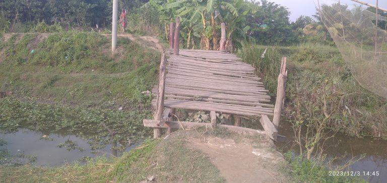 মুরাদনগর উপজেলা একটি অবহেলিত গ্রাম হচ্ছে চুলুরিয়া-বাড়িয়া চড়া ￼