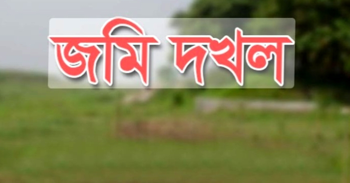 গলাচিপায়  অসহায় বৃদ্ধার জমির ফসল জোরপূর্বক কেটে নেওয়ার অভিযোগ
