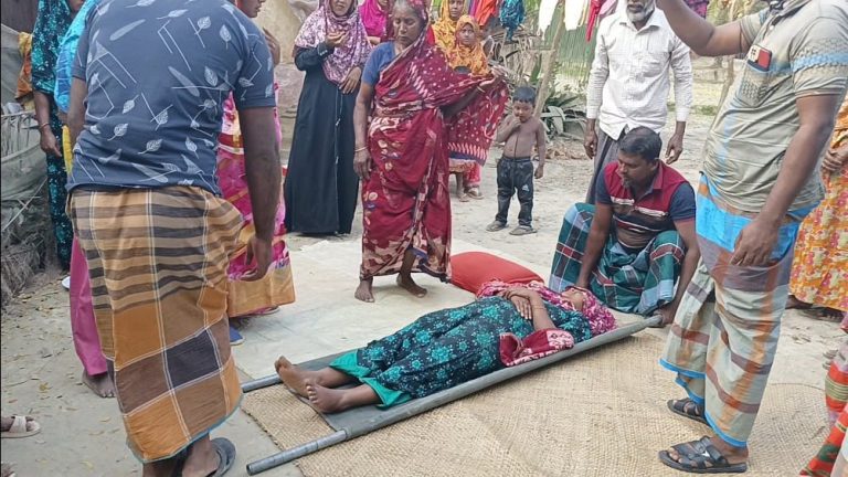তালতলীতে দিনে দুপুরে ডাকাতি গৃহবধুকে নির্যাতন