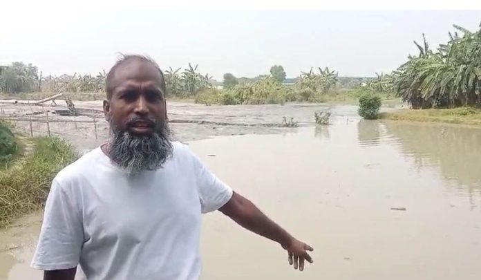 কৃষকদের ৩ ফসলি জমি জোড় করে বালি ভরছে ভুমিদস্যু শামীম