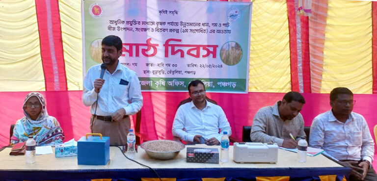 পঞ্চগড়ের তেঁতুলিয়ায় বারি গম-৩৩ নিয়ে মাঠ দিবস অনুষ্ঠিত