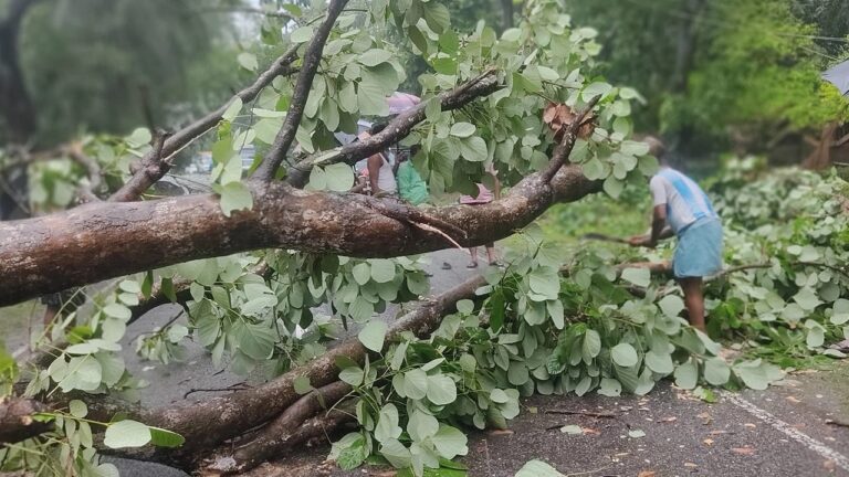 ঘূর্ণিঝড় রিমালে ১০ জনের মৃত্যু, ব্যাপক ক্ষয়ক্ষতি