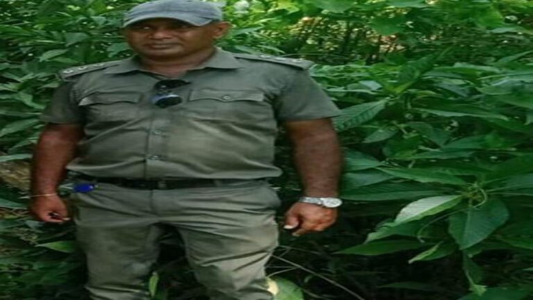 শেরপুরের শ্রীবরর্দী রেঞ্জের বনায়নের ১০ কোটি টাকার গরমিল